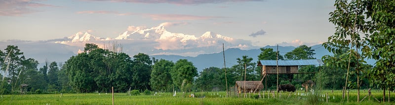 农田和山