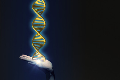 人类的手和基因，3D渲染