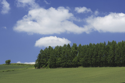 农村景观