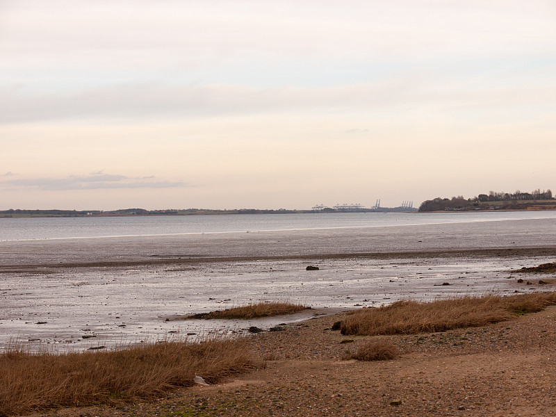 美丽的海湾滨海开放风景外的Manningtree，雅克湾