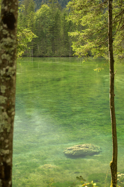 Schiederweiher，美丽的奥地利湖，靠近Hinterstoder