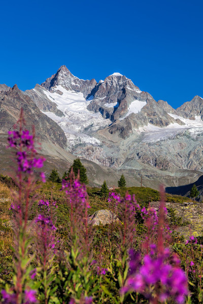 美丽的马特洪山在瑞士阿尔卑斯山