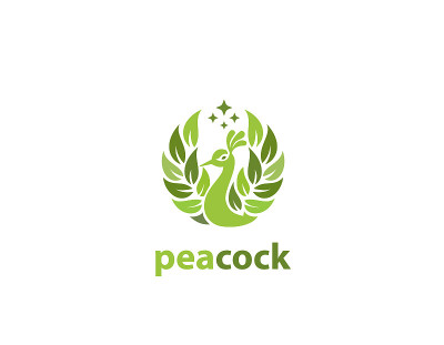 Peacock leaf design - illustration