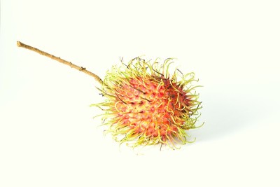 红红毛丹