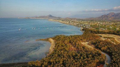 Hon do岛或红岛