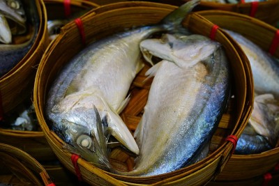 两个泰国鲭鱼。