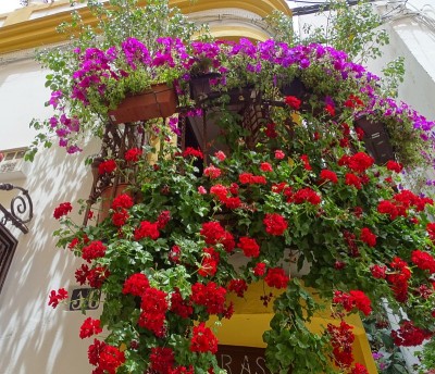 花