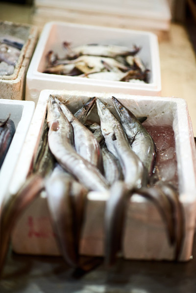 中国上海菜市场出售鳗鱼