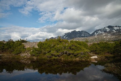 加拿大不列颠哥伦比亚省夏季的雪山峰，沿着克朗代克高速公路