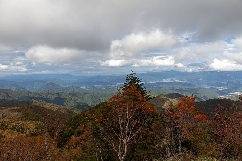 日本的秋景