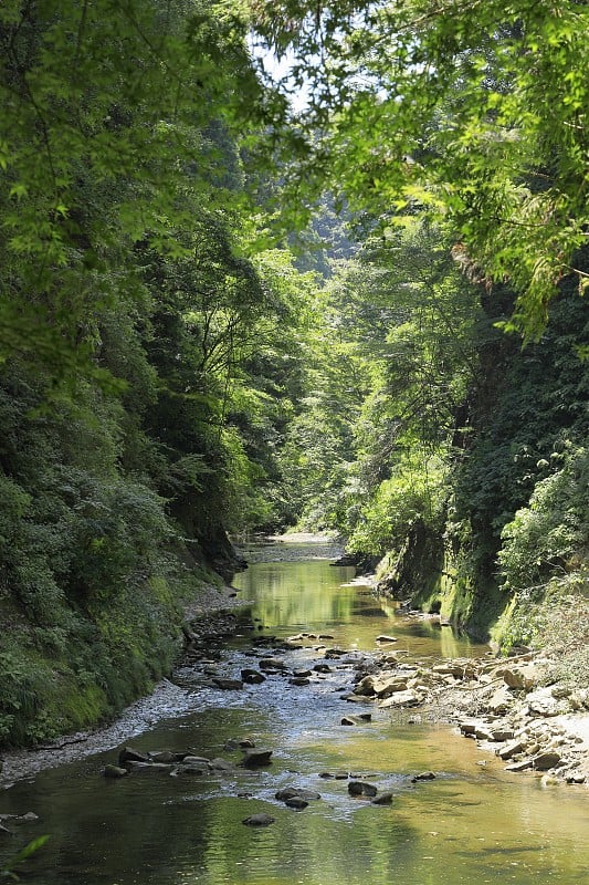 日本千叶市实水市的约郎惠国谷