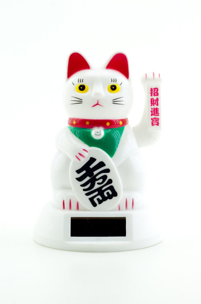 猫与太阳能电池板在白色背景