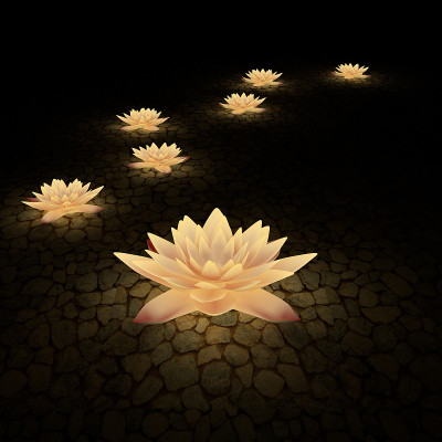 3 d的花。