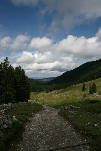 先去巴伐利亚schliersee