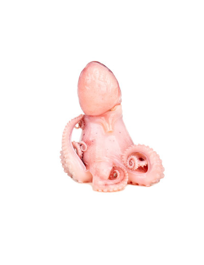 章鱼孤立