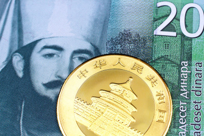 20张塞尔维亚第纳尔纸币和一枚中国熊猫金币