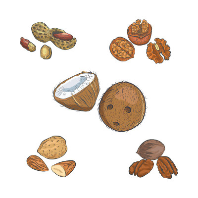 螺帽素描矢量收集。