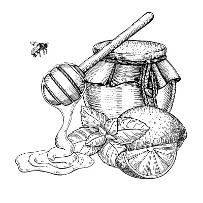蜂蜜与柠檬和薄荷矢量绘图。罐子，木勺，蜂蜜，蜜蜂，