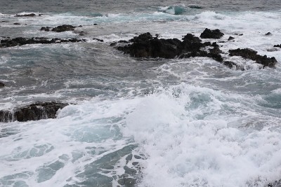 出现海