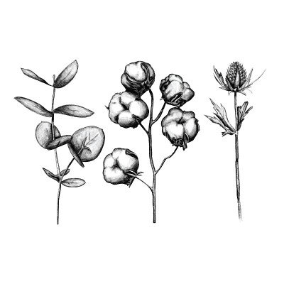 Hand drawn flower sketch design