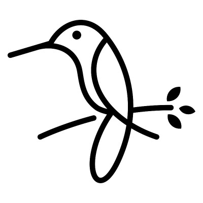 鸟Colibri简单线条图标矢量设计插图
