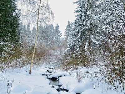 这个季节的第一场雪