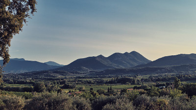 橄榄树和藤蔓之间的普罗旺斯风景