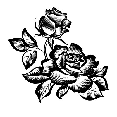 古董花玫瑰
