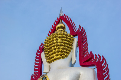 从背后看