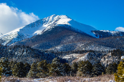 基督山的雪血