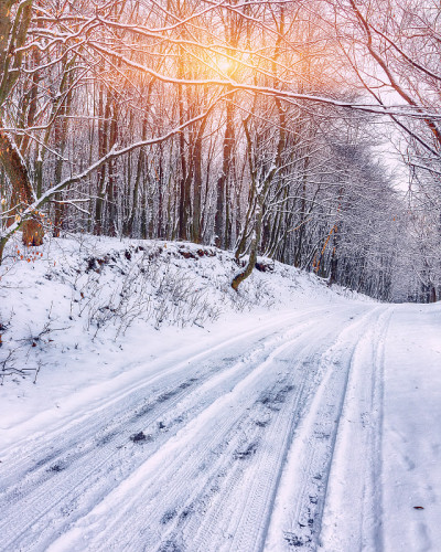 冬天的公园被雪覆盖
