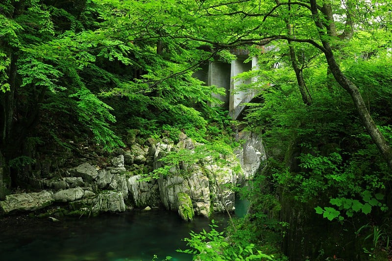 水夏天的山溪