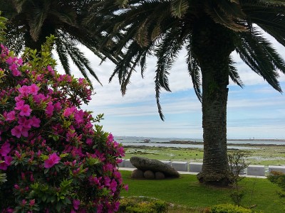 Cambados