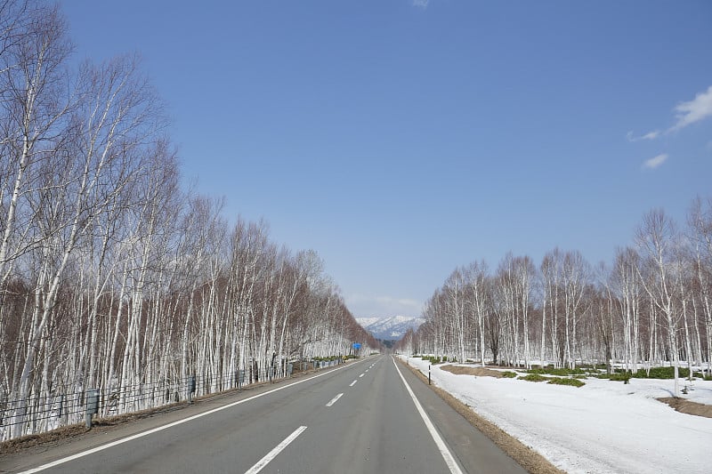 初春的北海道努卡比拉路