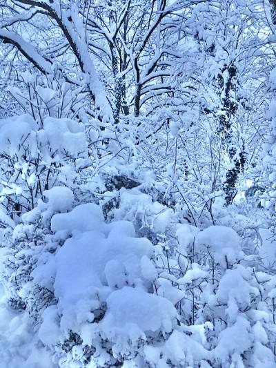 慕尼黑城下着雪。