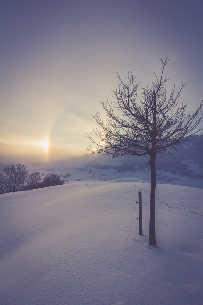 冬季阿尔卑斯山的雪景，日出带晕现象