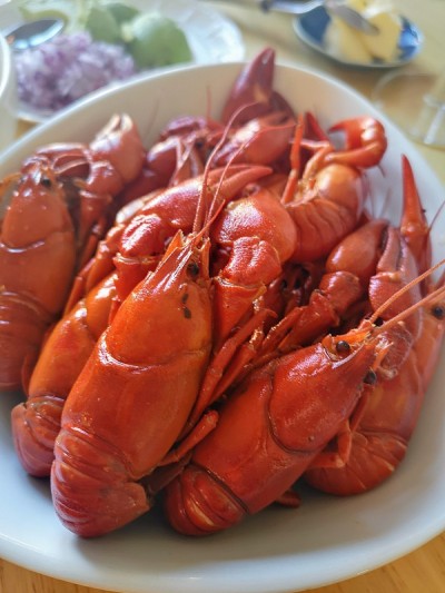 小龙虾板