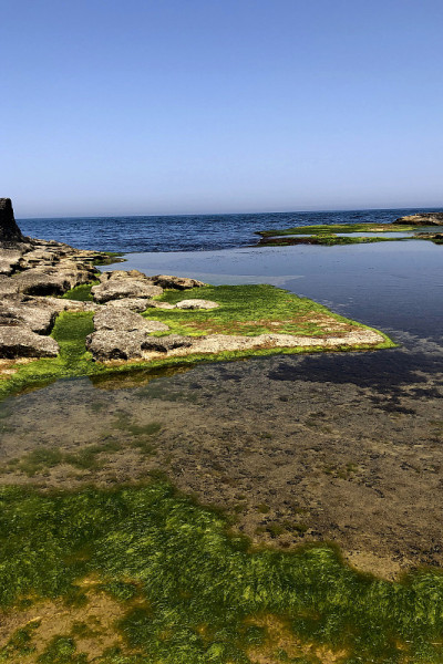 多山的海在大自然的岩石