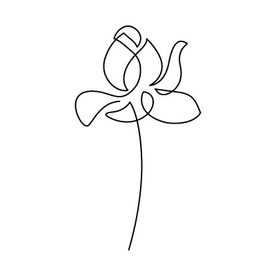 莲花