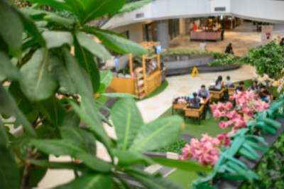 模糊离焦Co工作空间区域