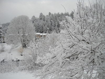 雪地里的cevenes