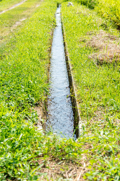 灌溉渠道(运河)