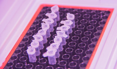 一步PCR