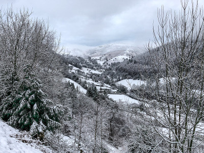 一套被雪覆盖的风景设置