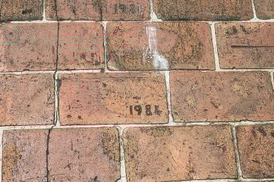 刻有1981年年画的砖砌人行道
