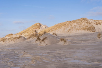 沙丘上Amrum