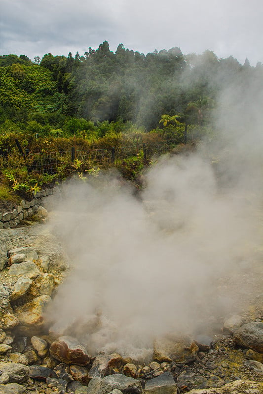 葡萄牙亚速尔群岛Sao Miguel Furnas村的地热活动