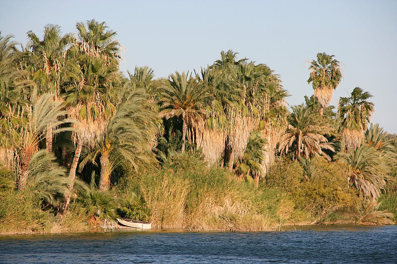 Laguna (lagoon) de San Ignacio, San Ignacio, Baja 