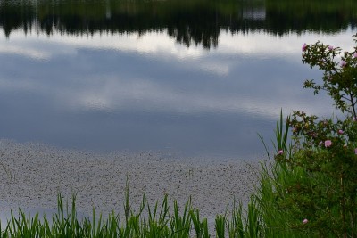 湖倒影