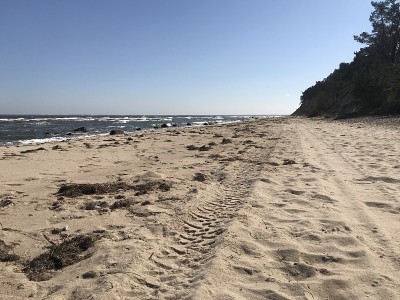 吕根Coastline